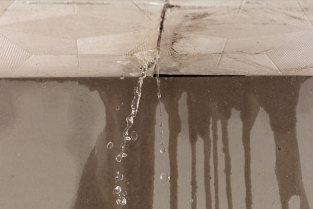 Professional Structural Drying technician working in Westfield, WI